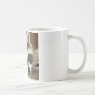 Racoon Youngster Mug