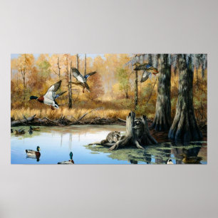 Racoons Invade The Duck Pond Poster