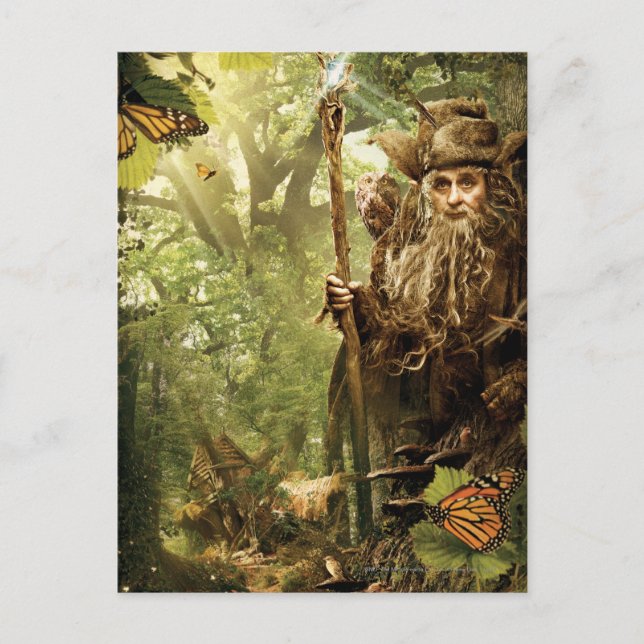 RADAGAST™ in Forest Postcard (Front)