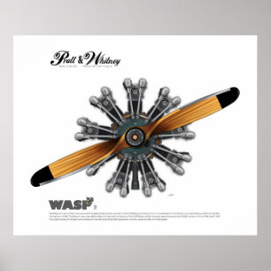 Radial Aircraft Engine with Prop Art Poster