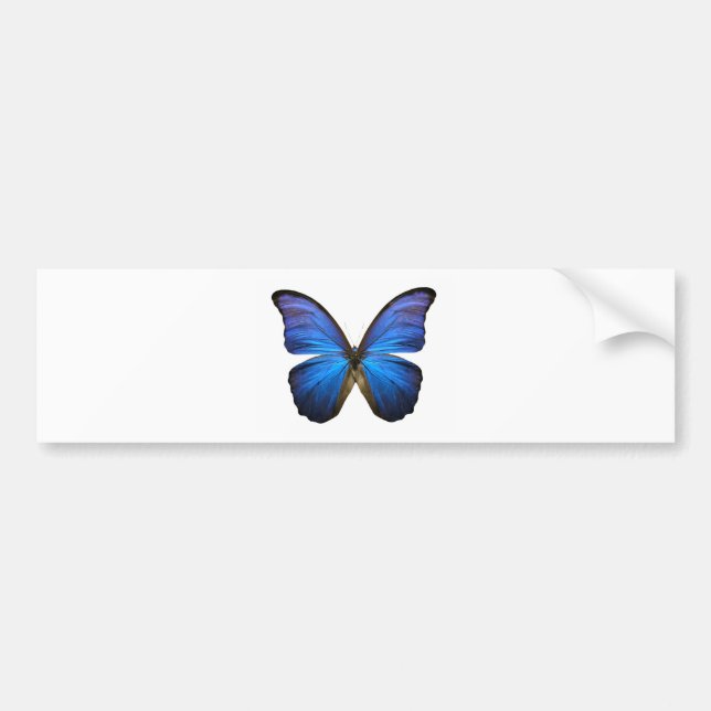 Radiant Blue Butterfly Bumper Sticker (Front)