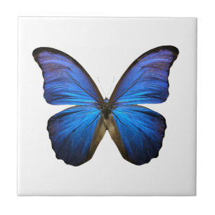 Radiant Blue Butterfly Tile