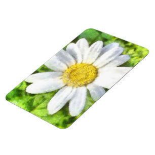 Radiant Daisy Watercolor Magnet
