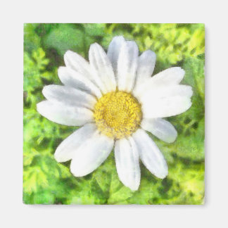 Radiant Daisy Watercolor Magnet