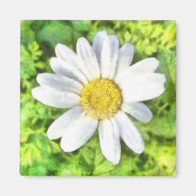Radiant Daisy Watercolor Magnet (Front)