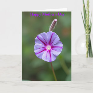 Radiant Magenta Mothers Day Card
