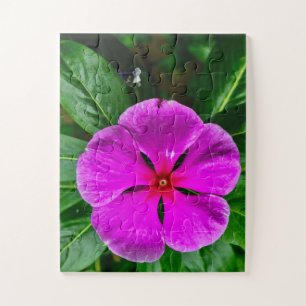 Radiant Memory Bloom Magenta Vinca Botanical Jigsaw Puzzle