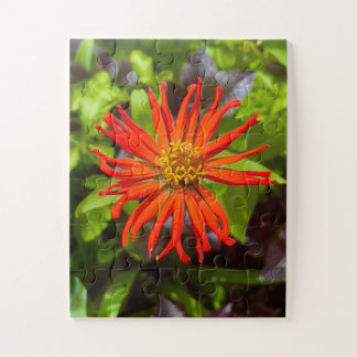 Radiant Orange Zinnia | Floral Tribute to Alzheime Jigsaw Puzzle