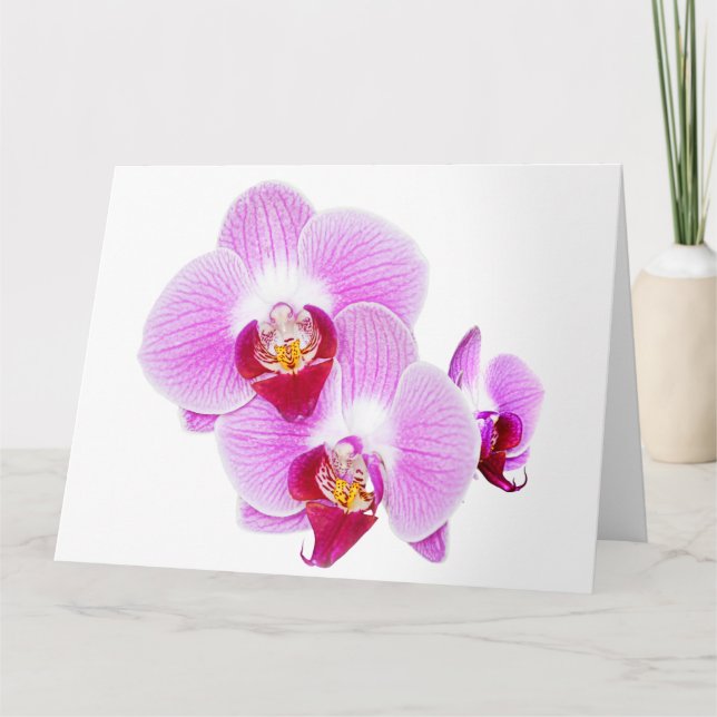 Radiant Orchid Closeup Photography Card (Front)