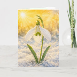 Radiant Petal Series – snowdrop Card