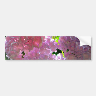Radiant Pink Hydrangeas Bumper Sticker
