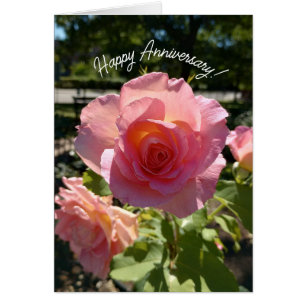 Radiant Pink Tea Rose Anniversary Card
