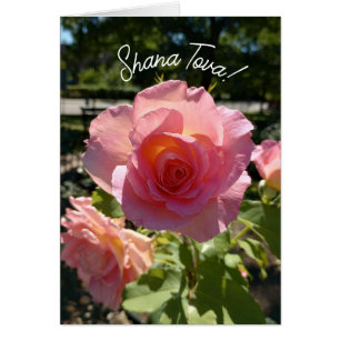 Radiant Pink Tea Rose Rosh Hashanah Card