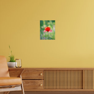Radiant Red Poppy Poster