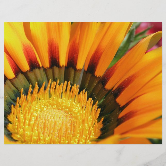 Radiant Treasure Flower Botanical Photo Flyer (Front)