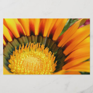 Radiant Treasure Flower Botanical Photo Stationery