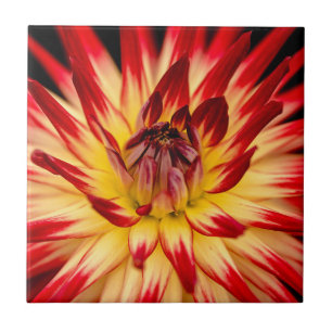 Radiant Yellow & Red Flower, Floral Close-up Shot Tile