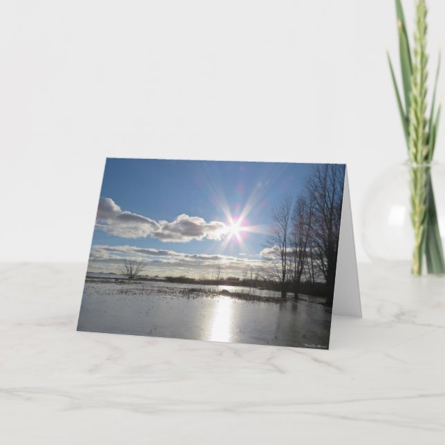 Radient Sun - Blank Greeting Card (Front)