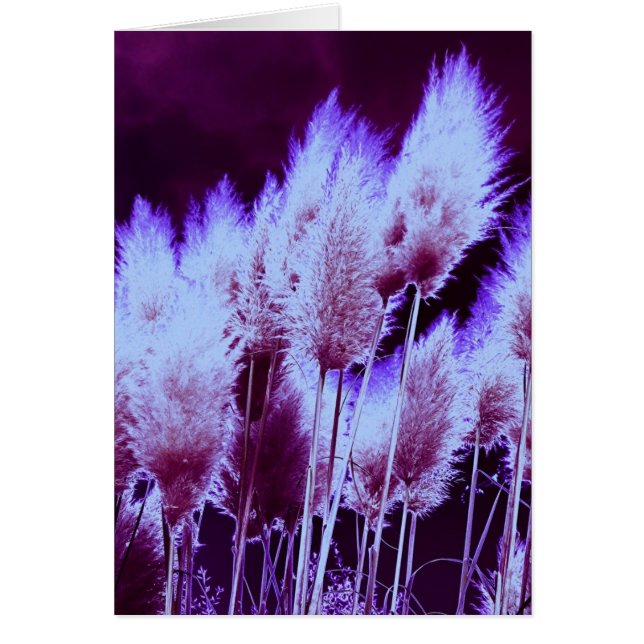 Radio-active (Front)