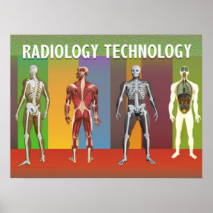 Radiology Technology Applied Science Cards Poster