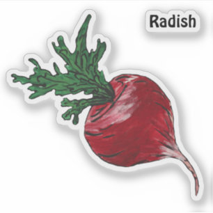 Radish