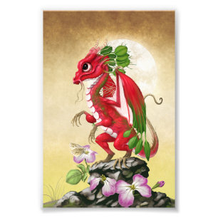 Radish Dragon 4x6 Print
