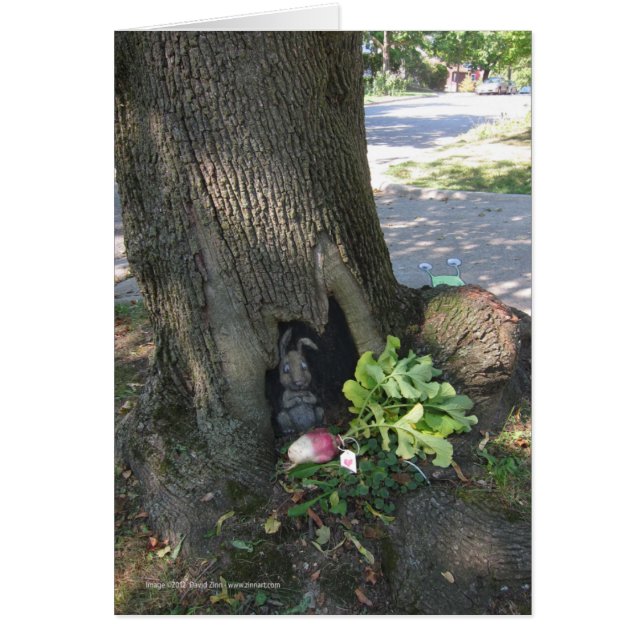 Radish Gifting (Front)