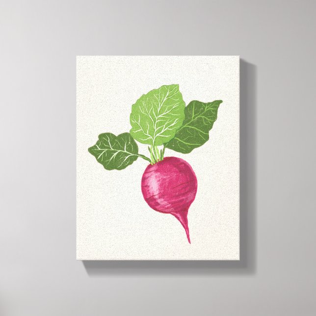 Radish kitchen wall decor (vegetable illustration) (Front)