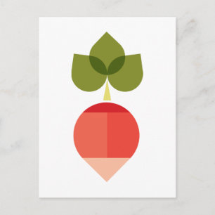 Radish Postcard