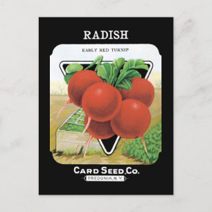 Radish Seed Pack Postcard