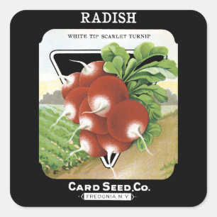 Radish Seed Packet Label