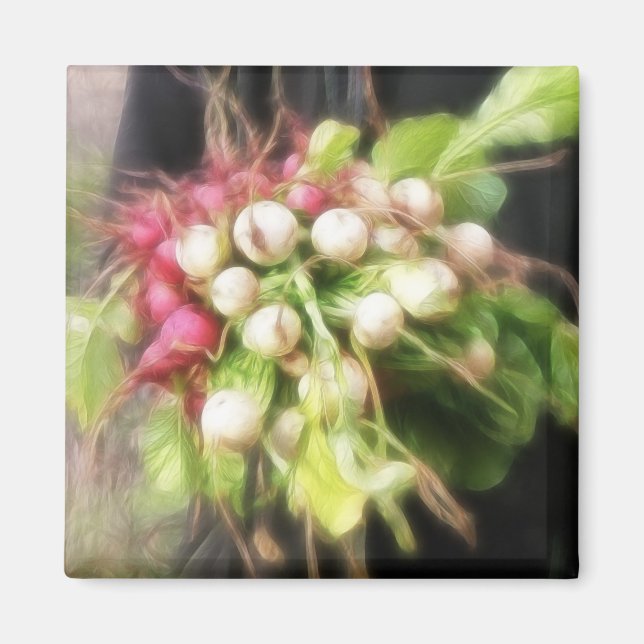 Radish & Turnip Harvest Magnet (Front)
