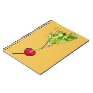 Radish vegetable watercolour illustration art notebook