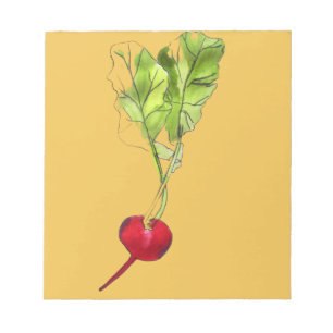 Radish vegetable watercolour illustration art notepad