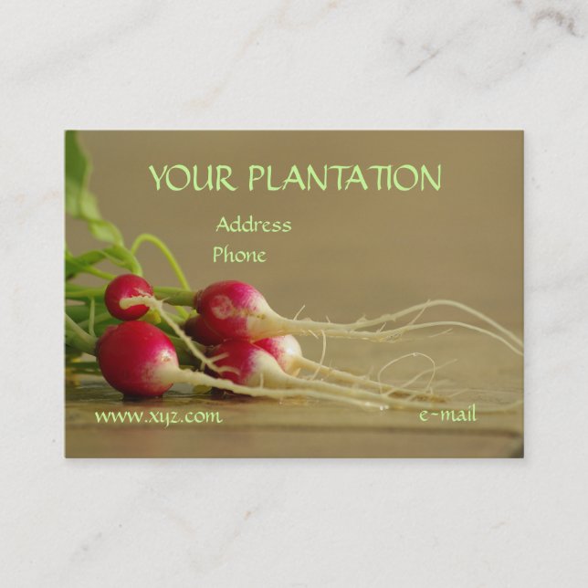 Radishes Business Card (Front)