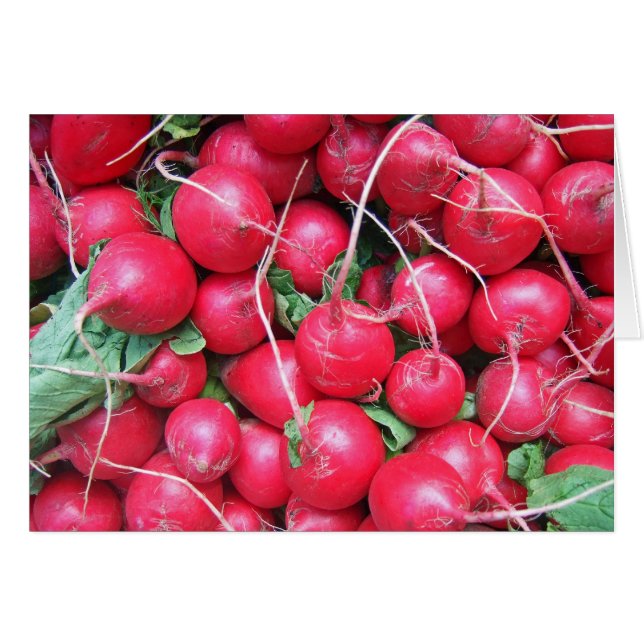 Radishes Note (Front Horizontal)