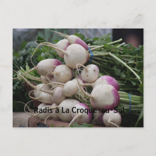 Radishes with Salt & Butter Postcard