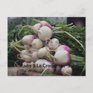 Radishes with Salt & Butter Postcard