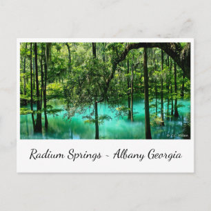 Radium Springs ~ Albany Georgia Postcard