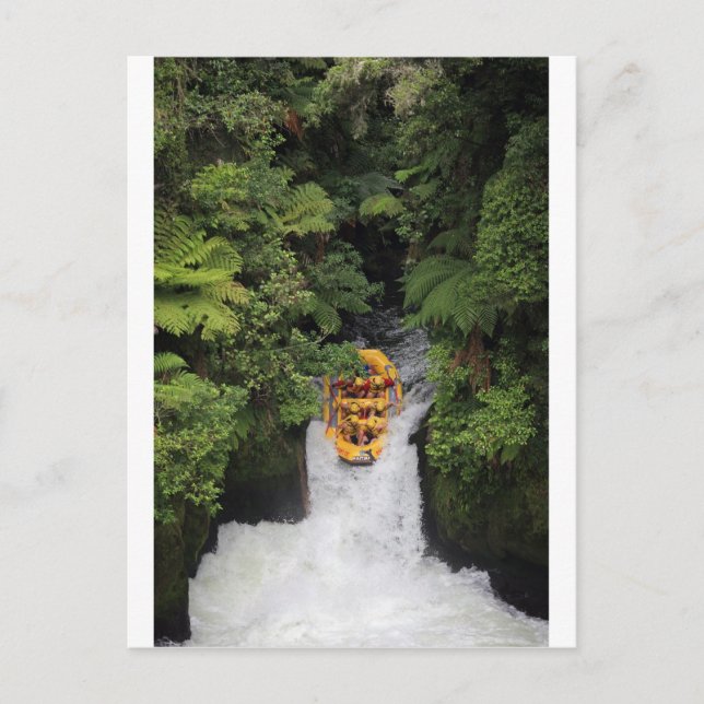 Rafting over waterfall New Zealand Postcard (Front)