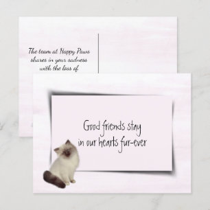 Rag Doll Cat Pet Sympathy Postcard
