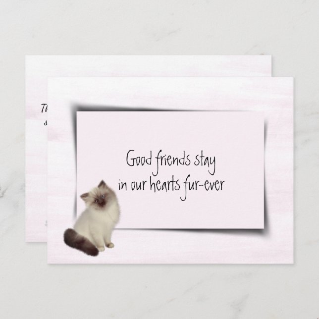 Rag Doll Cat Pet Sympathy Postcard (Front/Back)