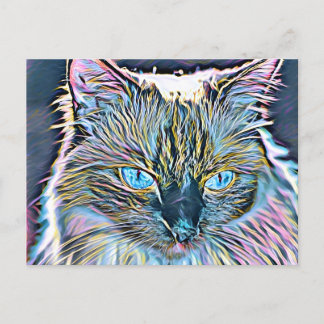 Ragdoll Art Postcard