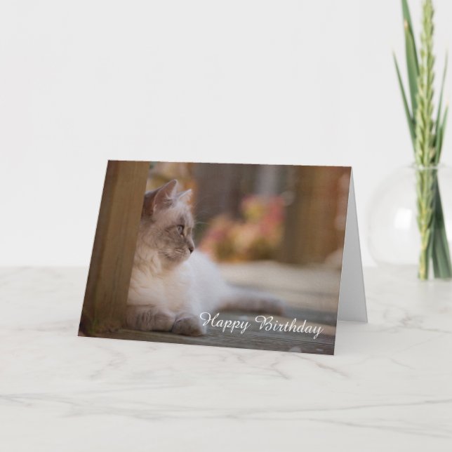 Ragdoll Birthday Card (Front)