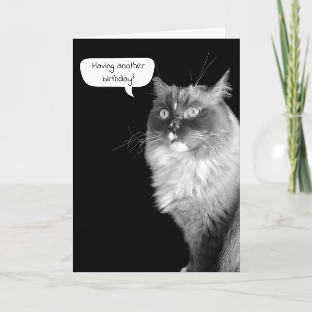Ragdoll Birthday Humour Card (Front)