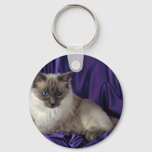 Ragdoll, blue point key ring
