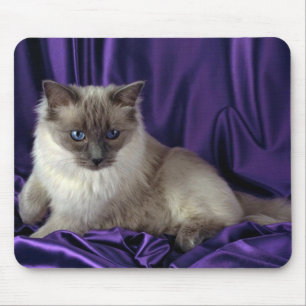 Ragdoll, blue point mouse mat