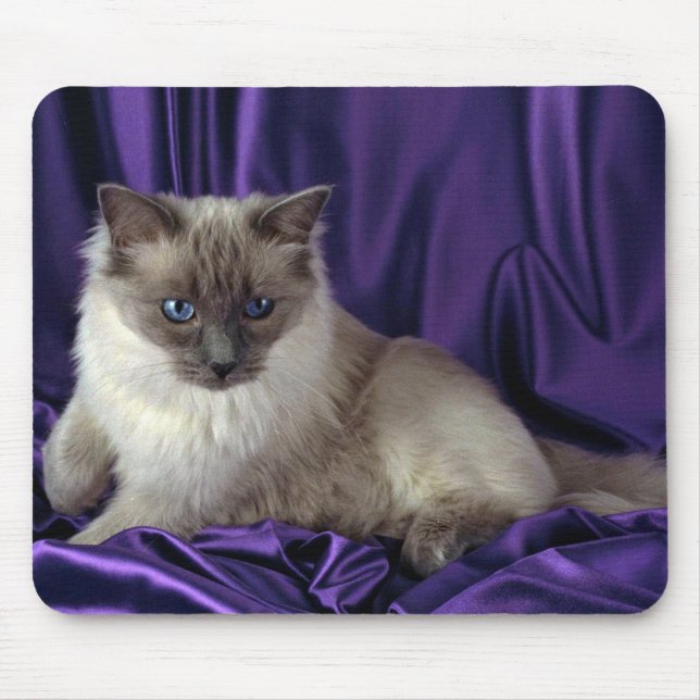 Ragdoll, blue point mouse mat (Front)