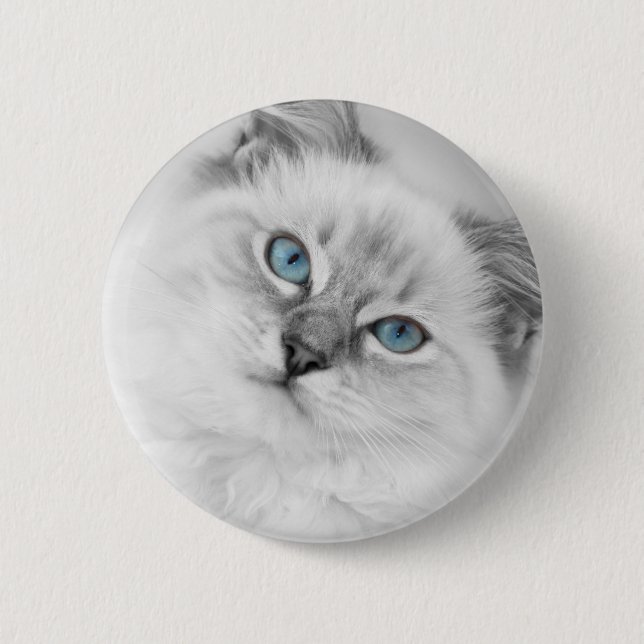 ragdoll button (Front)