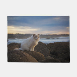 Ragdoll Cat At The Beach Doormat